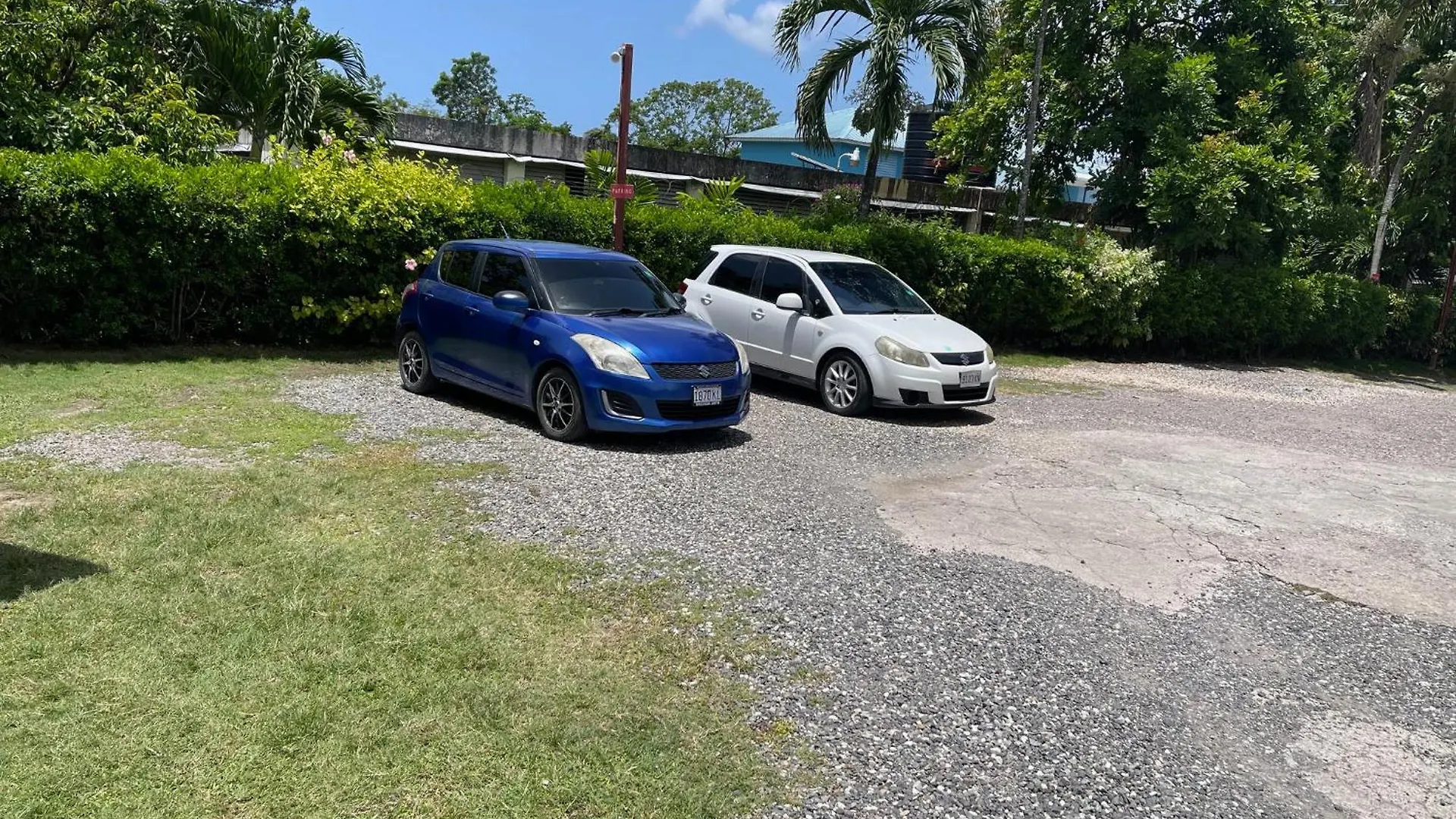 Διαμέρισμα Little Shaw Park Guest House Ότσο Ρίος Τζαμάικα